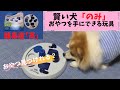 「賢い犬のみ」おやつを手にする玩具、こたろうは…？