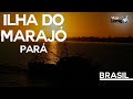ILHA DO MARAJÓ - PARÁ | VIAJE COMIGO 156 | FAMÍLIA GOLDSCHMIDT