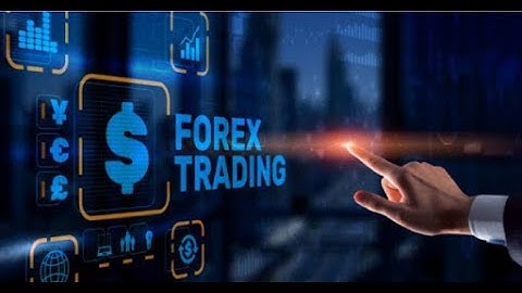 "Forex Trading 101: A Beginner