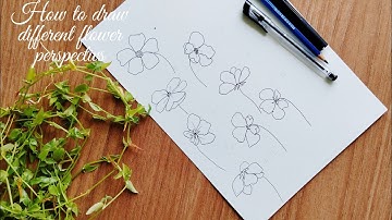 How to draw 7 different flower perspectives. Step by step tutorial for beginners.