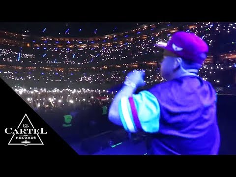 Mira lo que tiene que decir Tommy Vásquez "El Tijeras" de Daddy Yankee en México