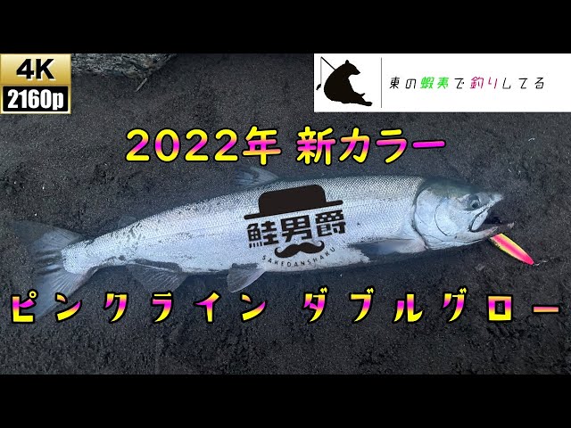 鮭男爵　ダブルグロー　鮭　アキアジ　釣り