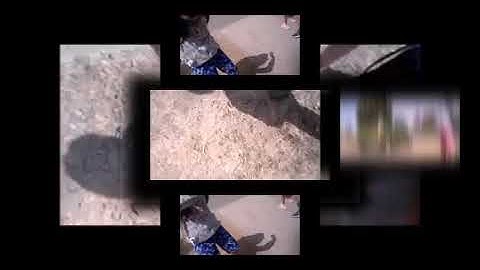 (REQUESTED) New Video DJ Scan V6 (Veg Replace)