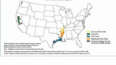 Consolidation and Structural Change in the U.S. Rice Sector