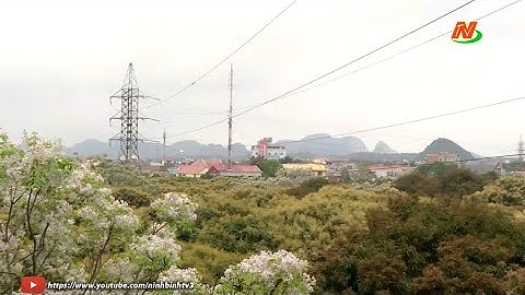 Đảm bảo hành lang an toàn lưới điện cao áp