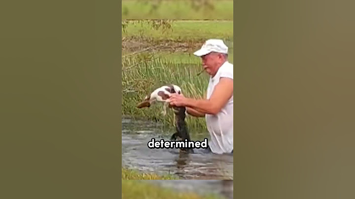 Brave man saves his puppy  #wholesome #kindness