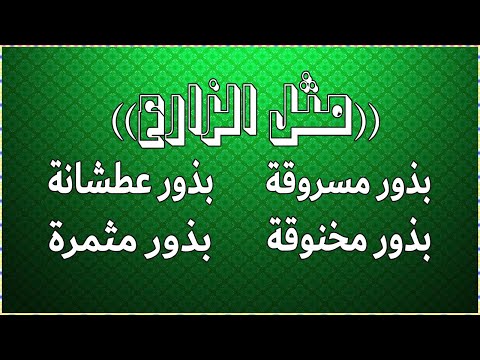 مثل الزارع ابونا بيشوي نجيب