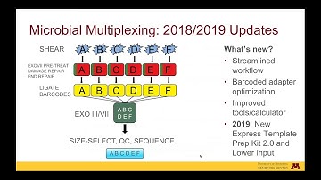 Complete Genomes within Reach: Closing Bacterial Genomes
