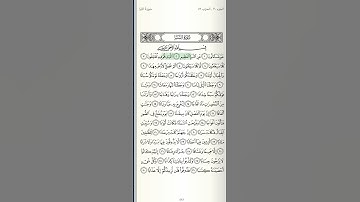 سورة النبأ
