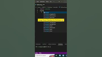 Leap Year Checker Program With Python 🤯#shorts