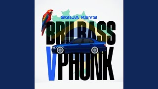 Brii Bass v Quantum Phonk 6