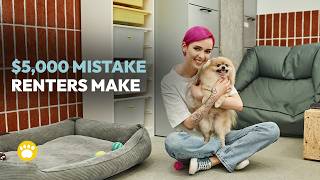 Pet Deposit vs Pet Insurance: Which One Actually Protects You?