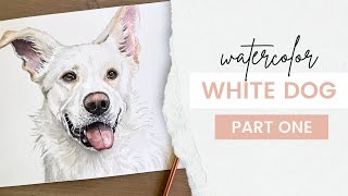 How to Paint a White Dog in Watercolor  Part 1