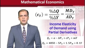 Income Elasticity of Demand for Beef using Partial Derivatives