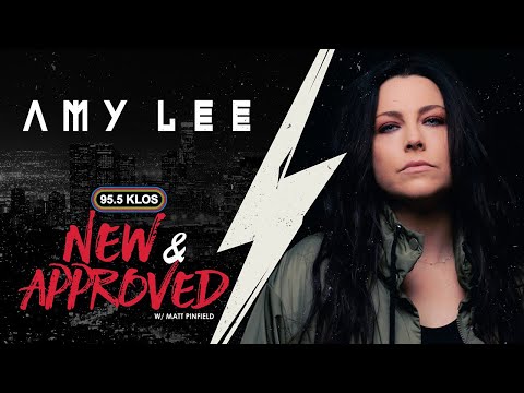 Video: Amy Lee: Biografi, Kreativitet, Karriere, Personlige Liv