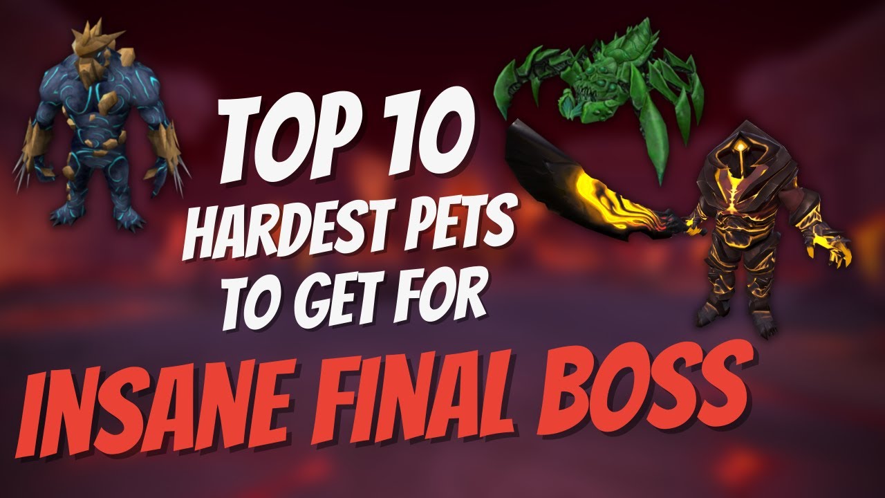 The Top 10 HARDEST Pets to get for INSANE FINAL BOSS YouTube