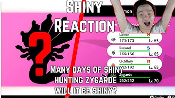 Shiny Hunting Zygarde Reaction - Pokemon Sword and shield Crown Tundra Dynamax Adventures Journey