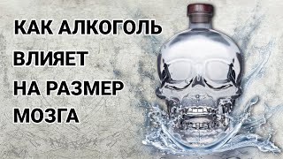 Алкоголь и мозг: польза и вред в одной бутылке!