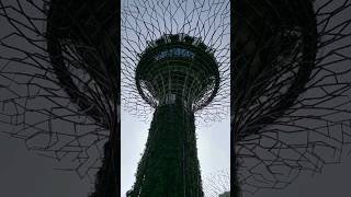 Supertree observatory, Singapore marinabaysands wheretogo asia