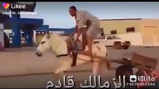 ضحك وفرفشة