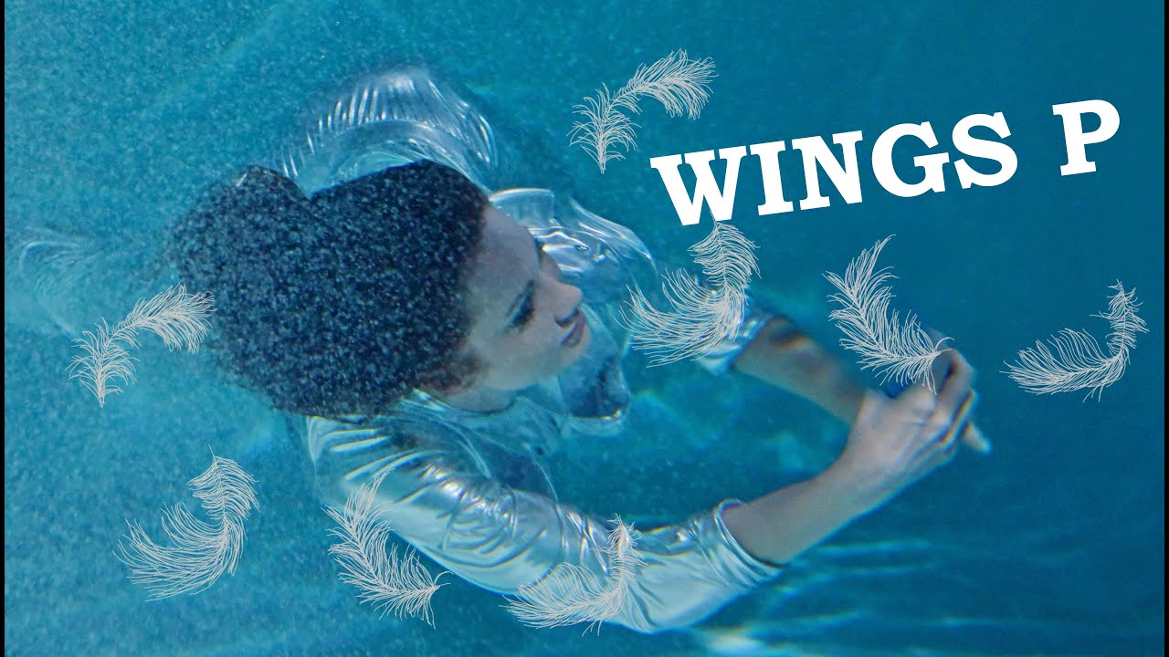 WINGS P КУПИТЬ ПОДУШКУ ПУХ ПЕРО В МОСКВЕ.