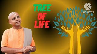 The TREE of life is a 3 things..  CONNECTION , CULTIVATION , CONTRIBUTION...# Gaur gopal das# : - )
