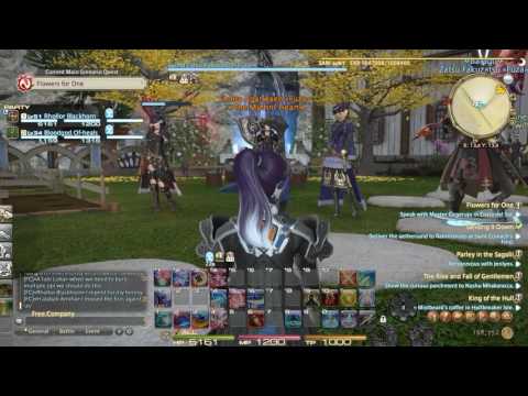 FFXIV - Chris' burning.