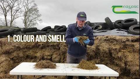Visual assessment of silage quality