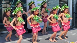 Kids Hula Japan キッズ フラ ダンス - YouTube
