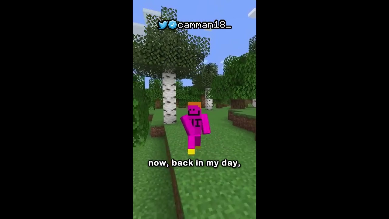How To Get An Elytra Before The Enderdragon 
