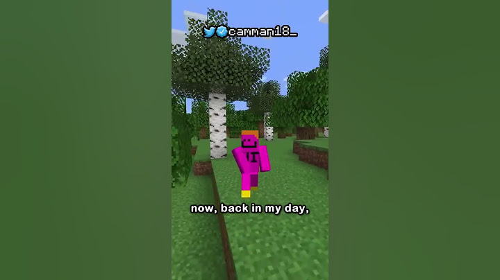 how to get an elytra before the enderdragon...