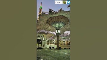 القران الكريم سوره الماعون