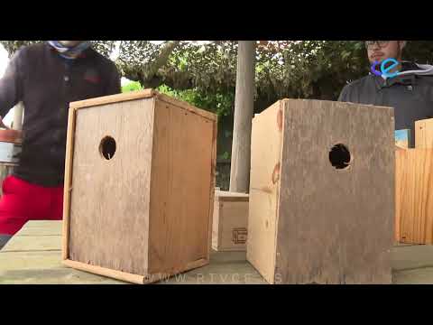 Cajas nidos para la conservación de las aves