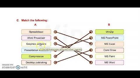 Class 5 ch 1 Part 4 Worksheet 2( software and its types.)