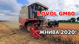 Жнива 2020! Дешевше СК-5 НИВА? Комбайн LOVOL GM80 збирає горох. Налаштування після пшениці