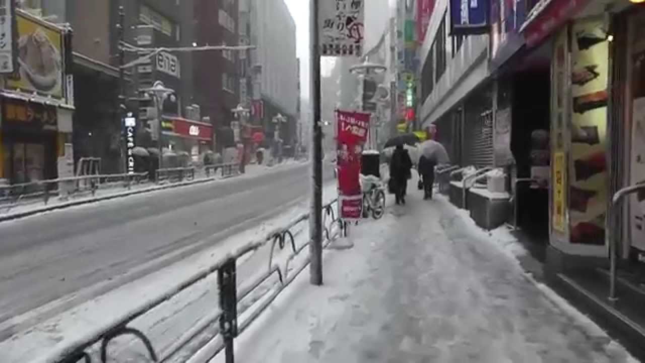 Snow in Tokyo! (February 2014)