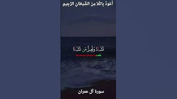 🌺القرآن الكريم 🌺ما تيسر من سورة ال عمران