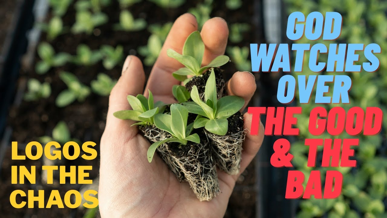 God watches over the good & the bad (SONG)