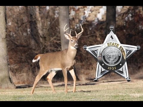False Arrest Deer Decoy and the Career Changing Arrest #lawsuit #update ...