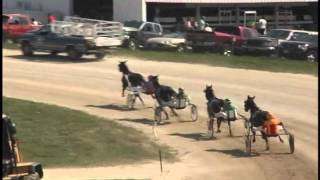 Walworth Race#7 09052015 (P-2YO/3YONW750LT)