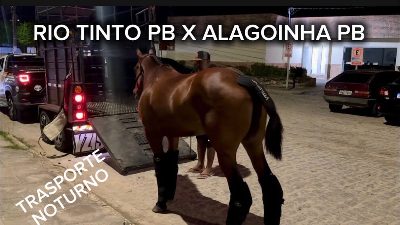 TRASPORTEI UM CAVALO DE RIO TINTO PB PARA ALAGOINHA PB A NOITE 