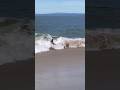 Body Whomping #bodyboarding #surf #shorts