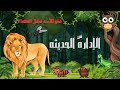 قصه النمله المجتهده والأسد قصه وعبره 