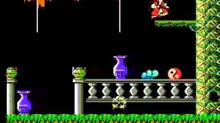NES - Master Chu _ The Drunkard Hu  .flv