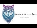 اقتباسات عن الذئب مع اجمل موسيقى للذئب والقمر