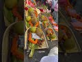 उग हें सुरज देव