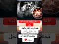 حقيقة صادمة أمك لم تغادرك أبد ا تعيش داخلك