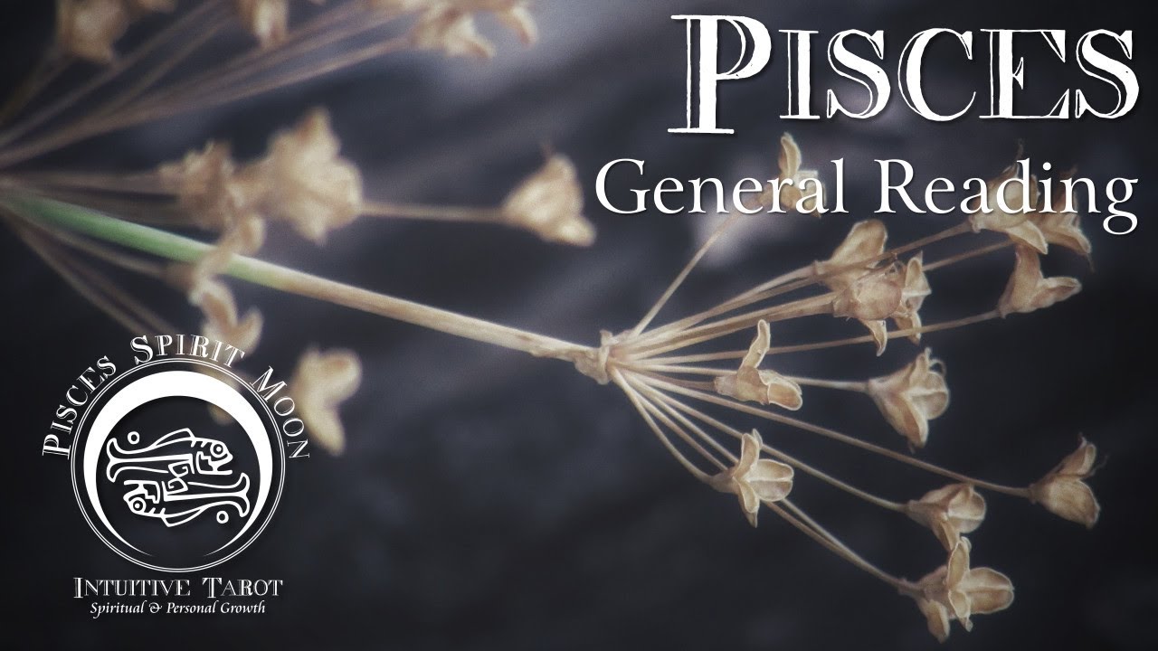 ♓️ PISCES ♓️ - THE BETRAYAL IN YOUR PAST WAS PART OF YOUR GROWTH. YOU ARE HEADED TO FULL ABUNDANCE!