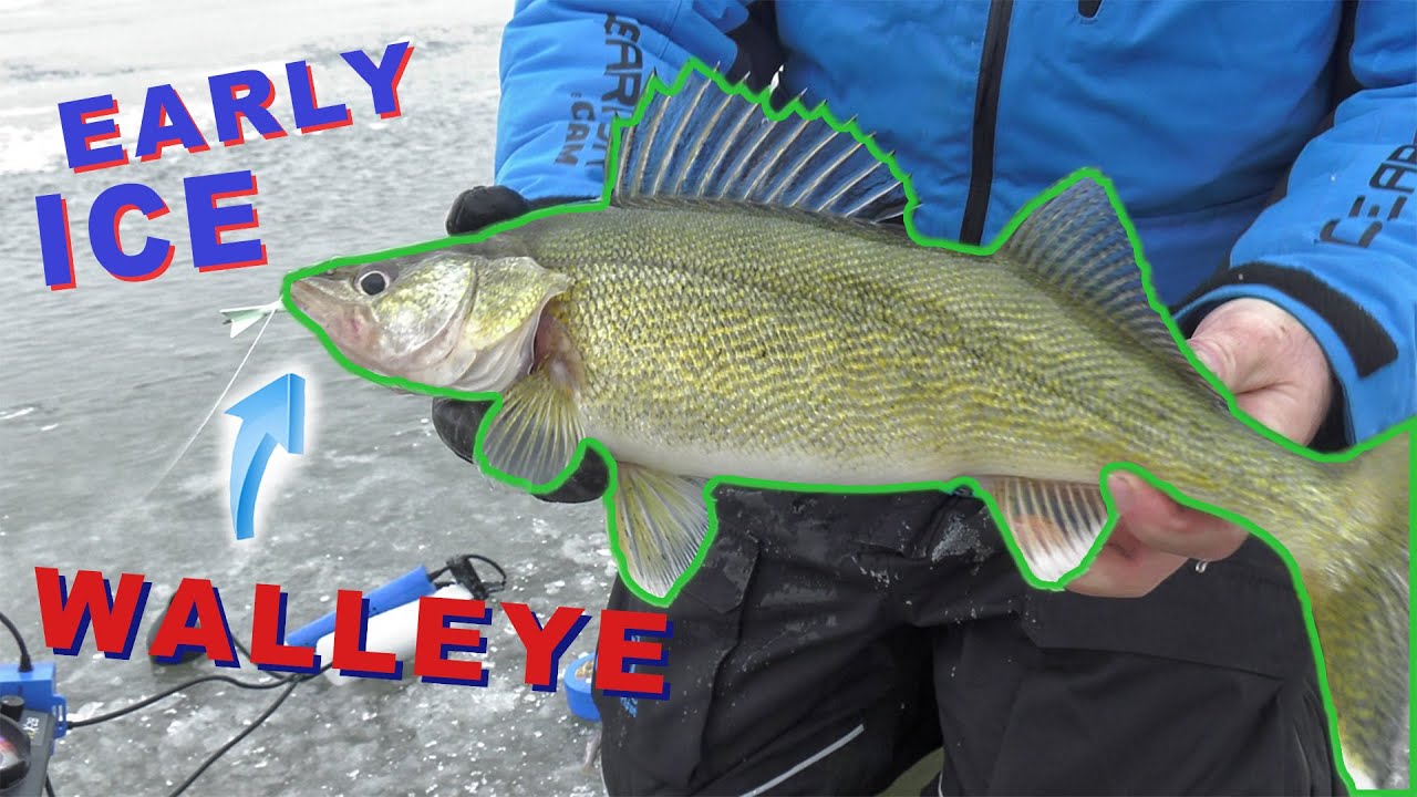 Tips for Targeting Shallow Water Walleye Through the Ice - Virtual Angling