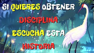 ✨Descubre el PODER de la DISCIPLINA,Historia de MOTIVACIÓN Budista Zen✨